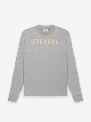 Fear Of God Cotone Ls T-shirt Grigie | FOG-SN593309