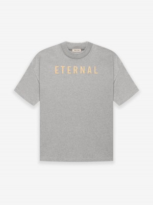 Fear Of God Cotone Ss T-shirt Grigie | FOG-SN593351