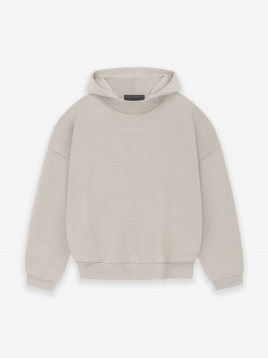 Fear Of God Essentials Hoodie Argento | FOG-SN593567