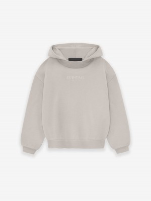 Fear Of God Essentials Hoodie Argento | FOG-SN593817