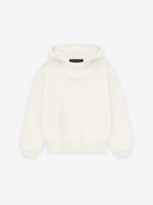 Fear Of God Essentials Hoodie Bianche | FOG-SN593820