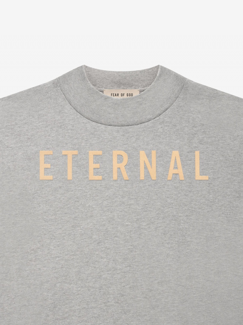 Fear Of God Cotone Ls T-shirt Grigie | FOG-SN593309