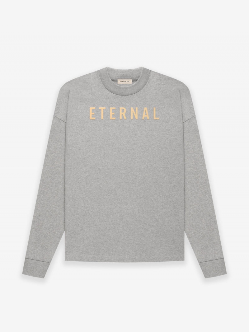 Fear Of God Cotone Ls T-shirt Grigie | FOG-SN593309