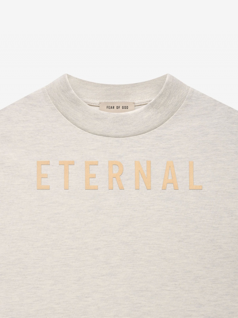 Fear Of God Cotone Ss T-shirt Beige | FOG-SN593332