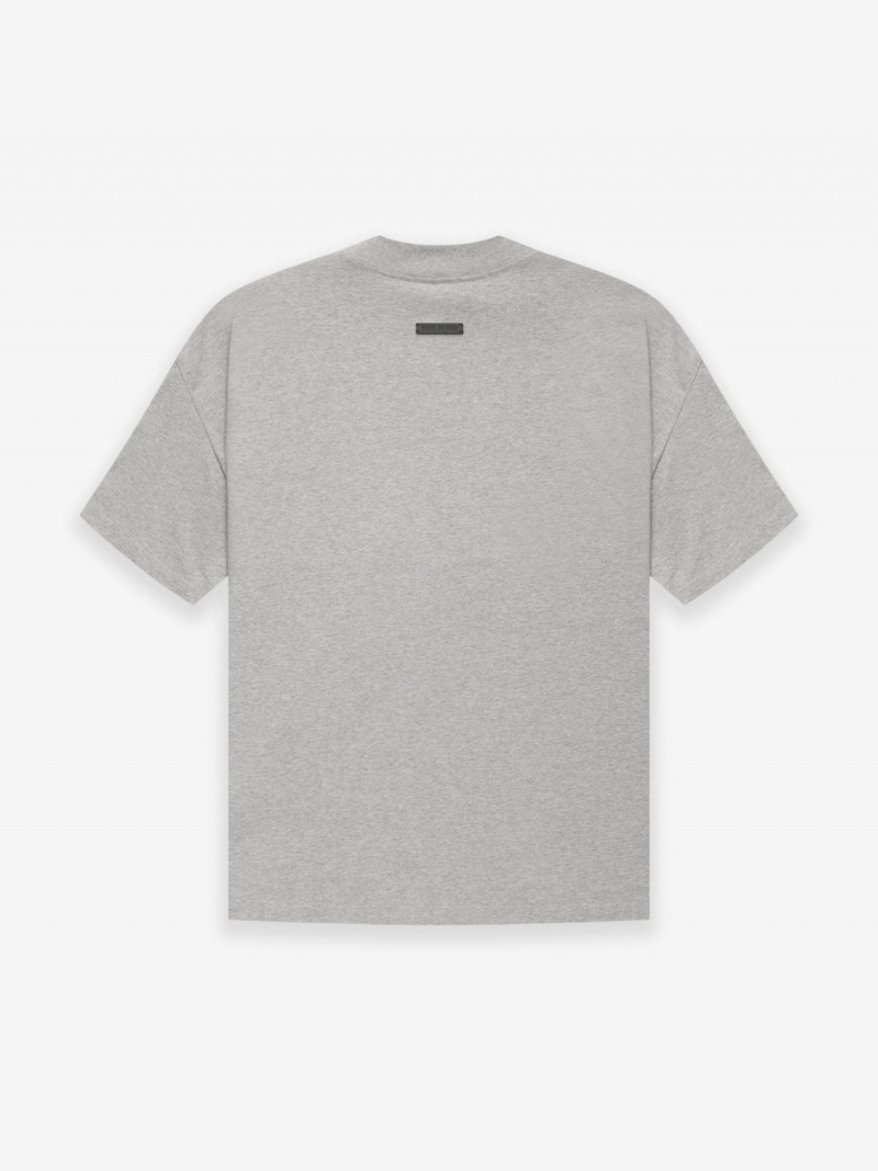 Fear Of God Cotone Ss T-shirt Grigie | FOG-SN593351