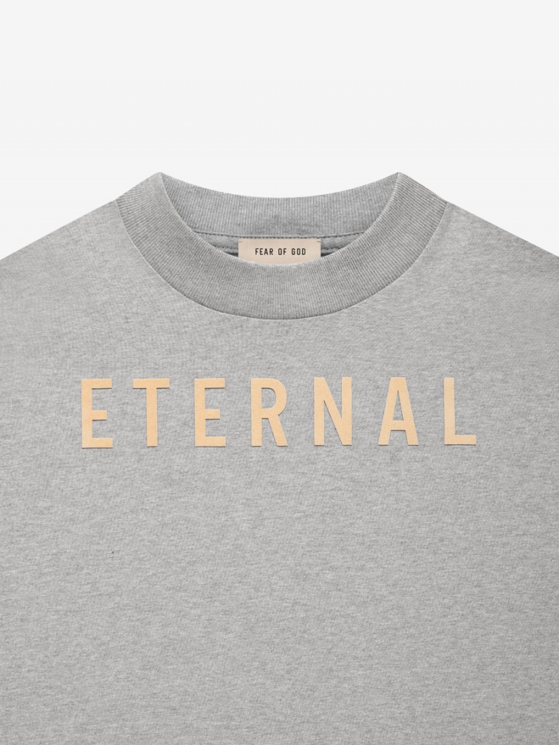 Fear Of God Cotone Ss T-shirt Grigie | FOG-SN593351