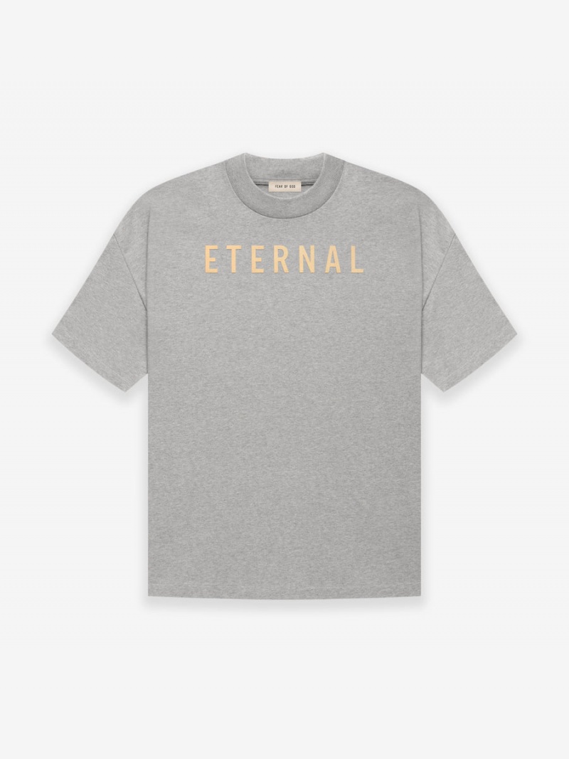 Fear Of God Cotone Ss T-shirt Grigie | FOG-SN593351