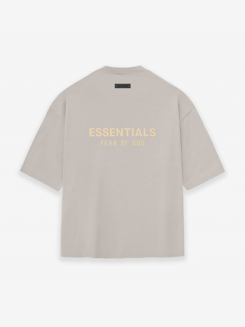 Fear Of God Essentials V-neck Argento | FOG-SN593541